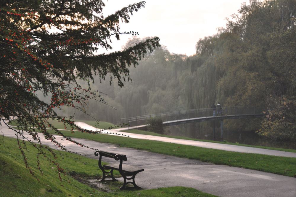 South Park, Darlington