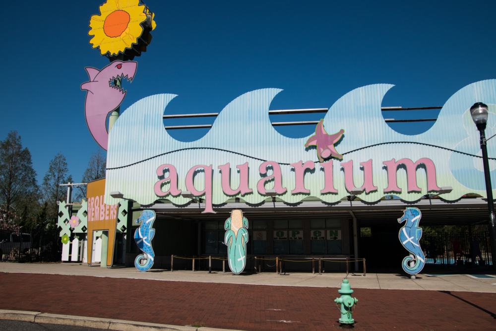 Adventure Aquarium, Camden