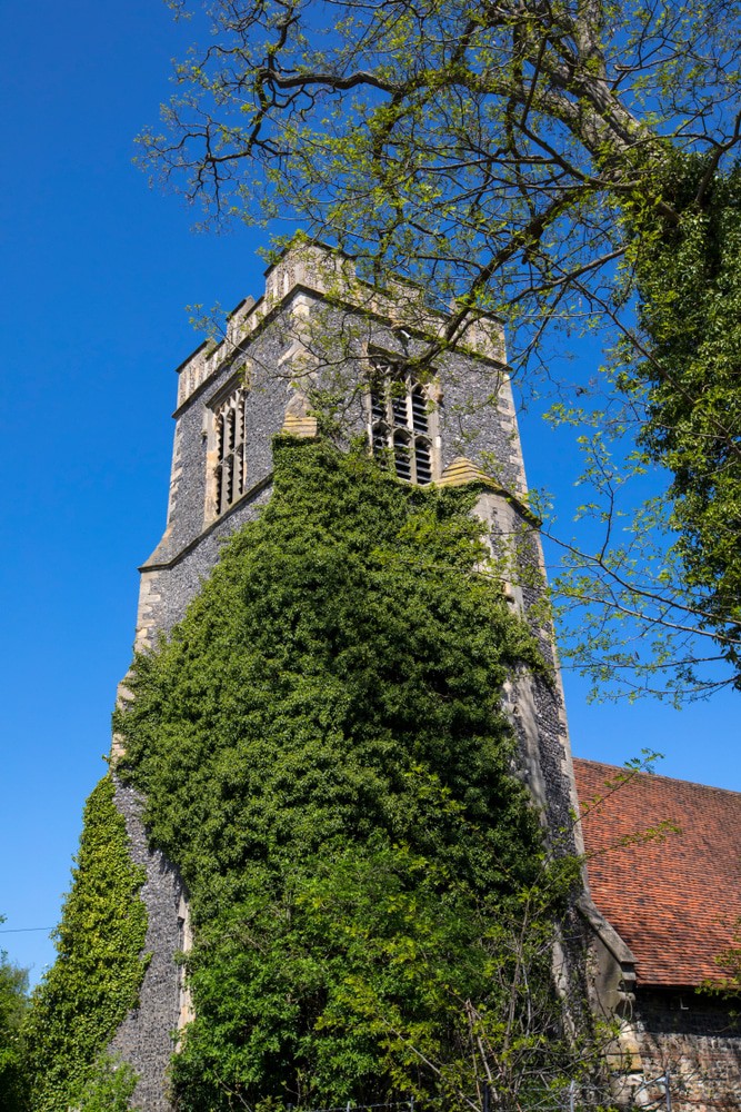 Natural History Museum