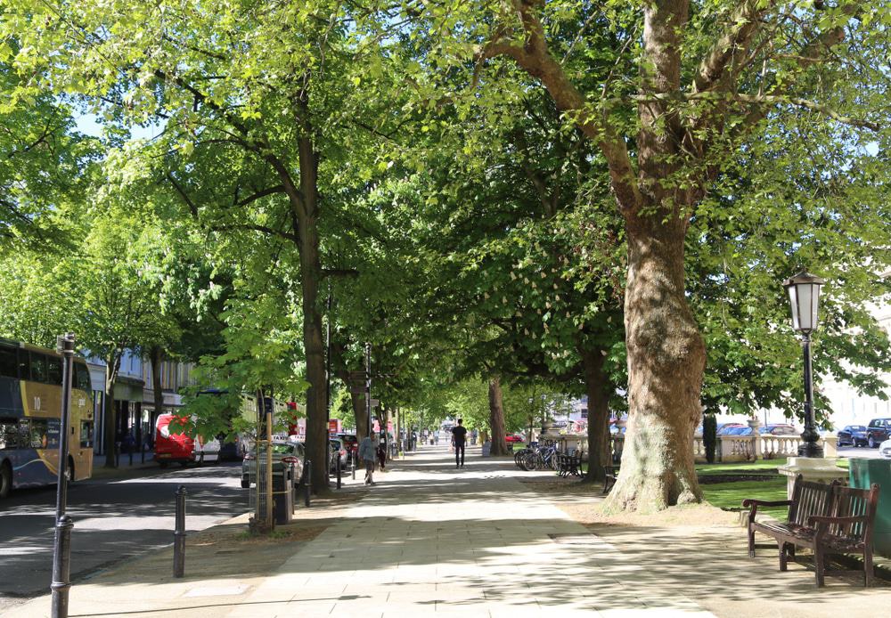 The Promenade