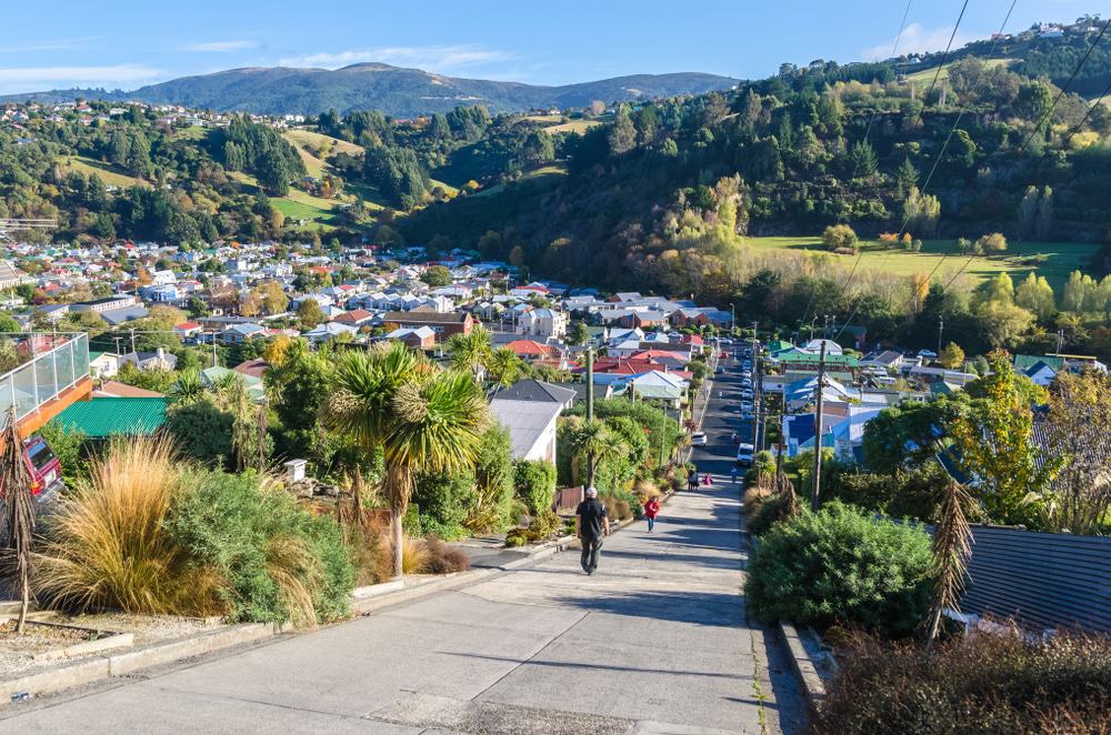 World's Steepest Street, Dunedin