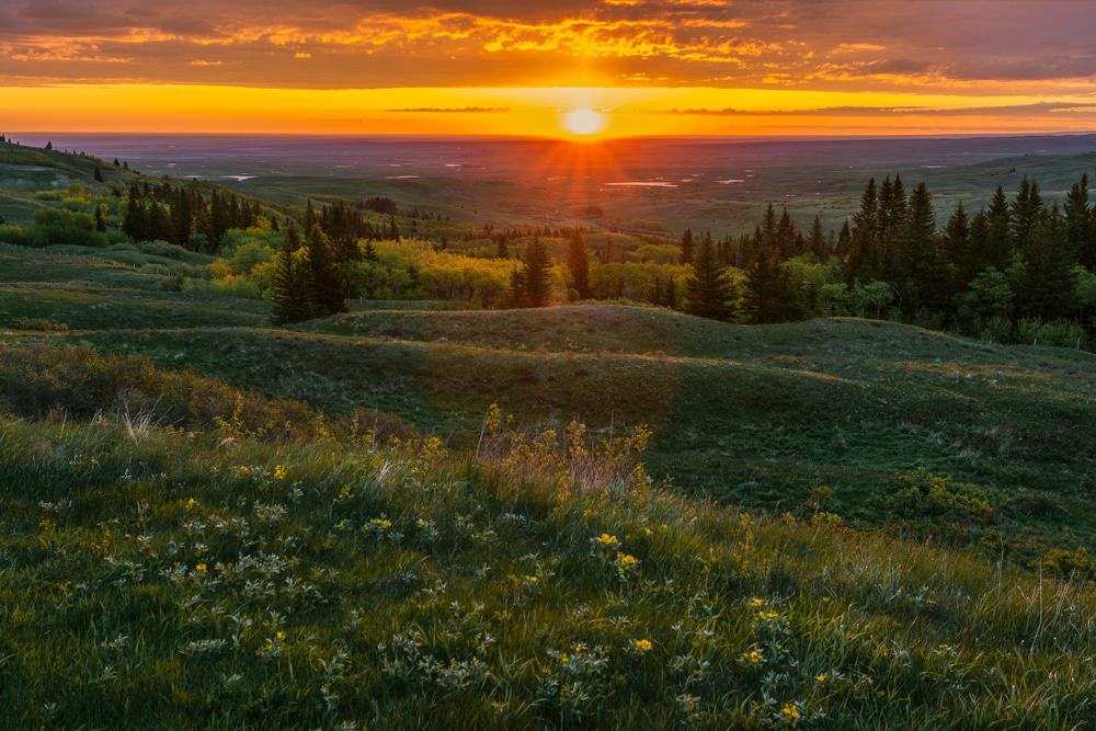 Cypress Hills, Canada