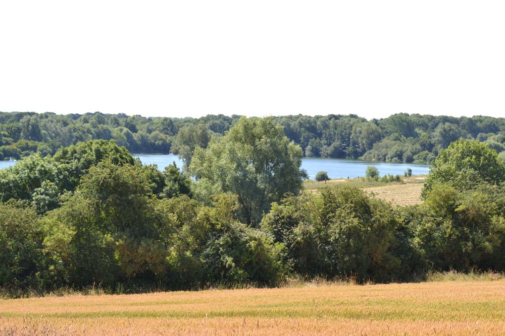 Ferry Meadows Country Park