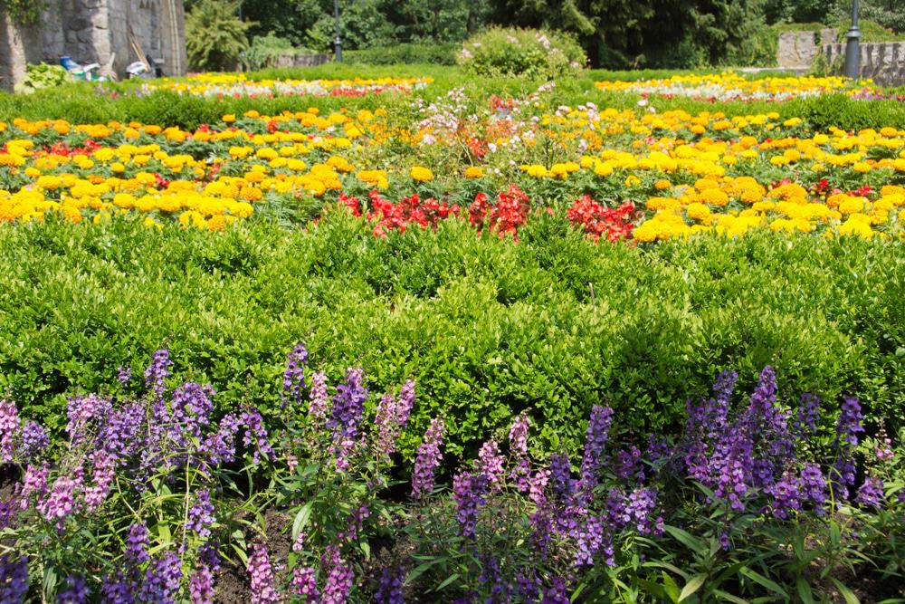 Lillafüred Garden