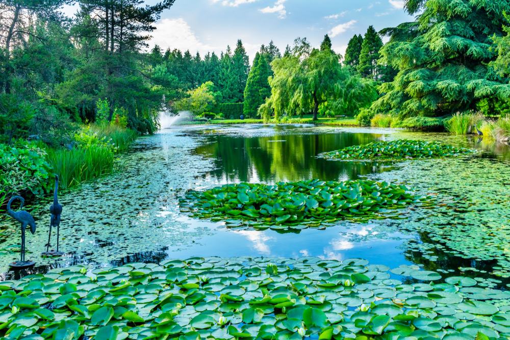 Van Dusen Botanical Gardens, Vancouver