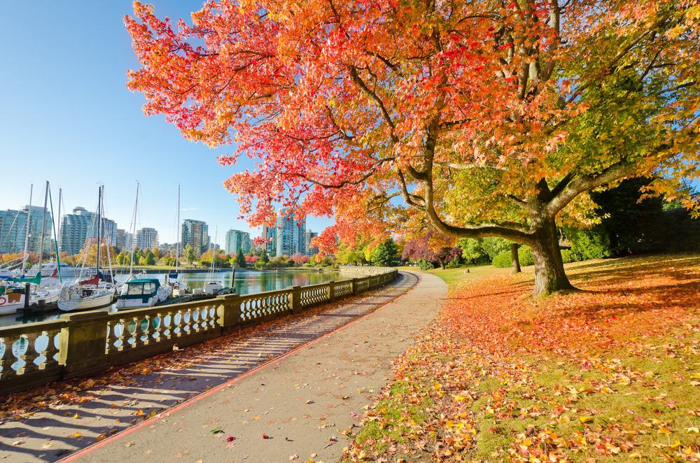 Stanley Park, Vancouver