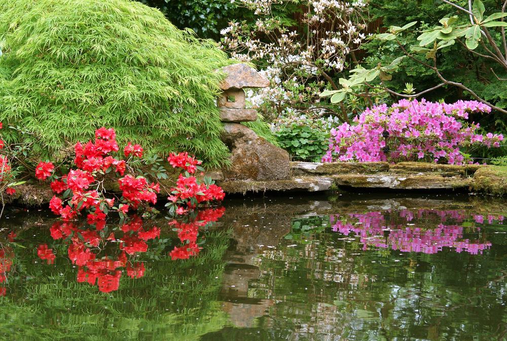 Japanese Garden