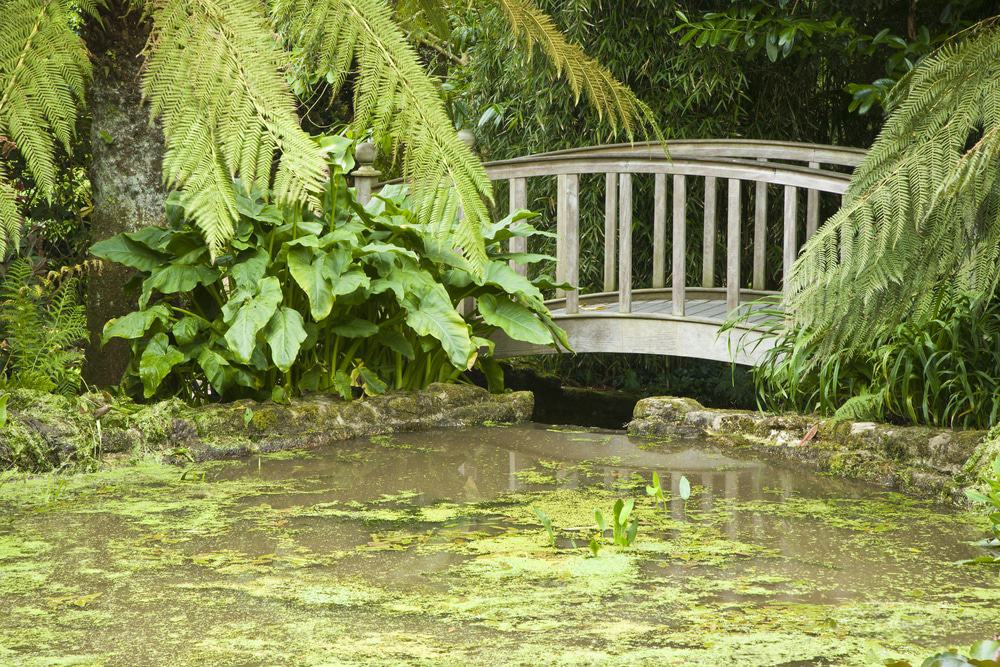 Trengwainton Garden