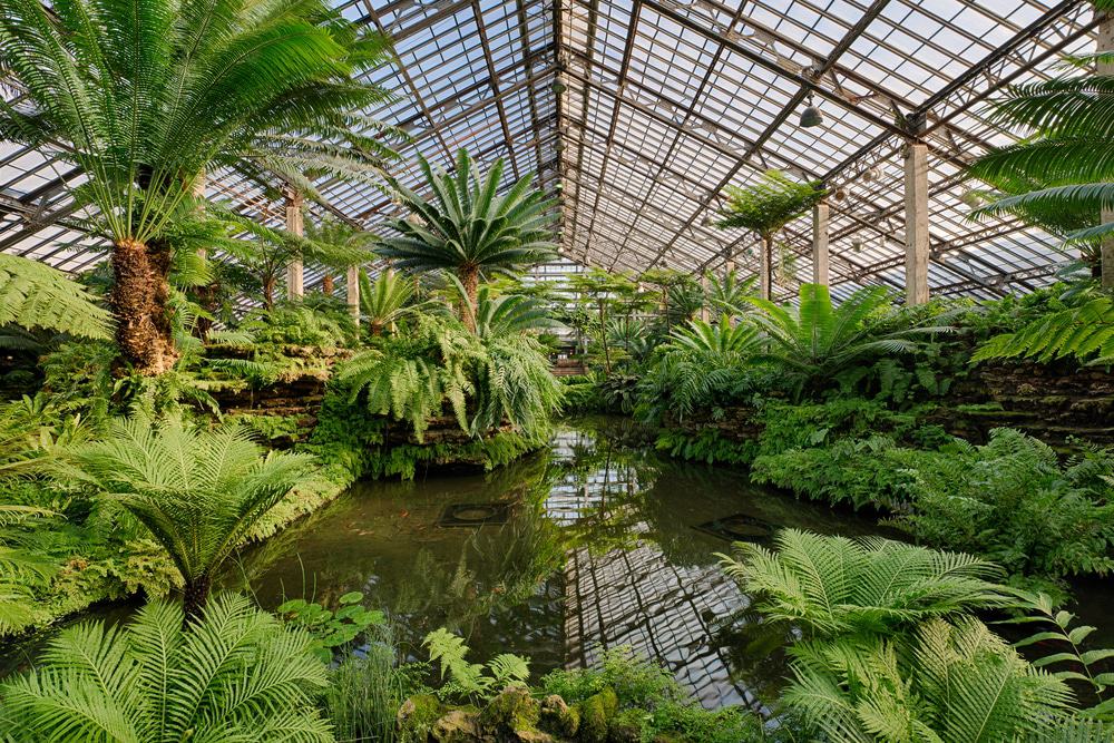 Garfield Park Conservatory, Chicago