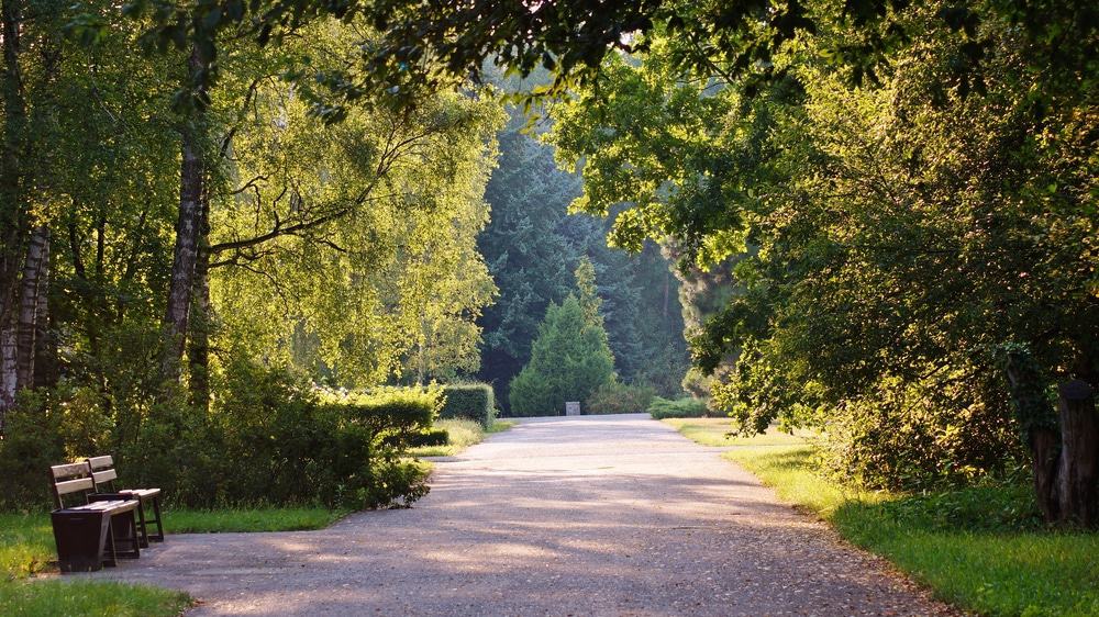 Botanical Garden, Lodz
