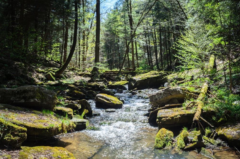 Allegany State Park