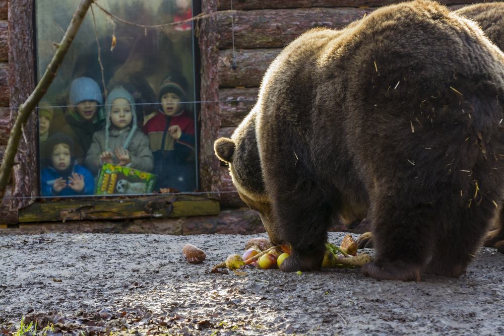 Szeged Zoo