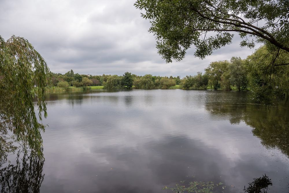 Valley of Three Ponds, Katowice