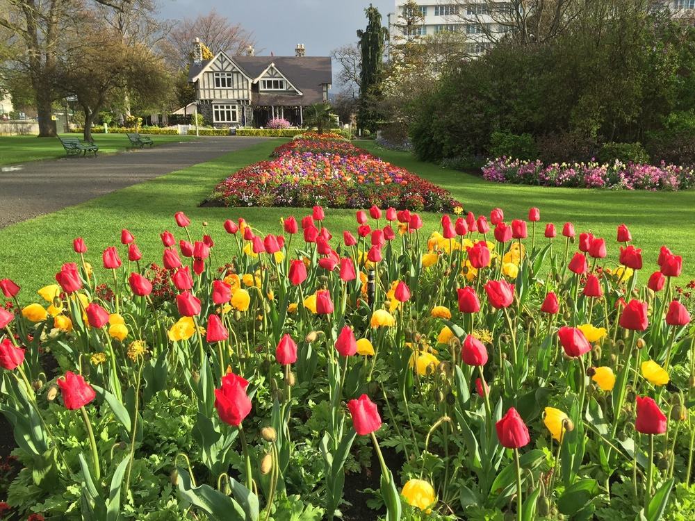 Christchurch Botanical Garden, New Zealand