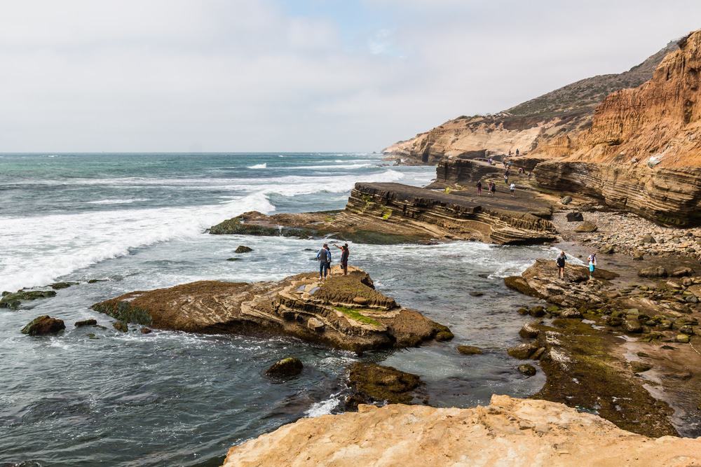 Point Loma Tide Pools