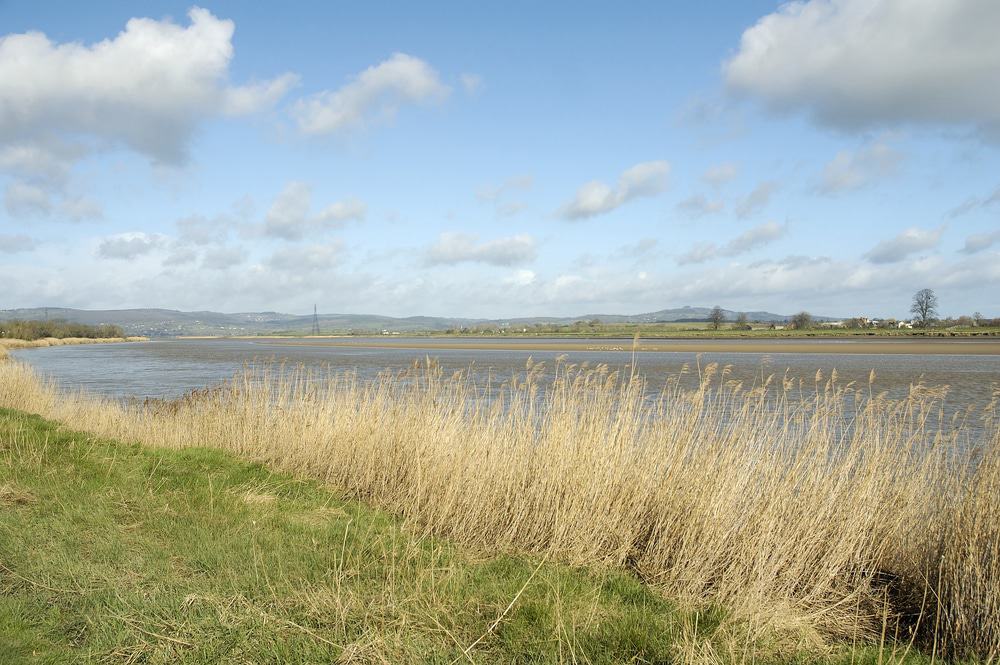 Severn Bore