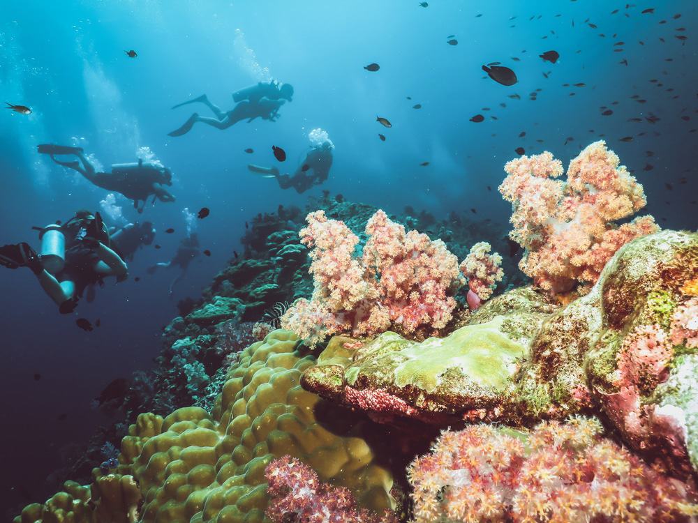 Koh Lanta Diving