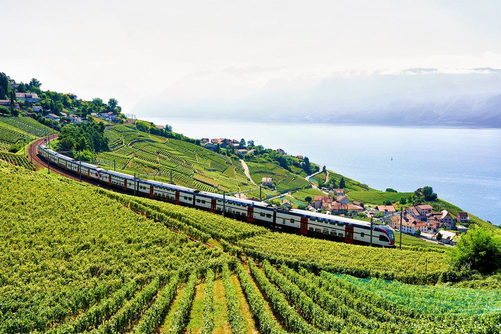 Lavaux Vineyard Terraces