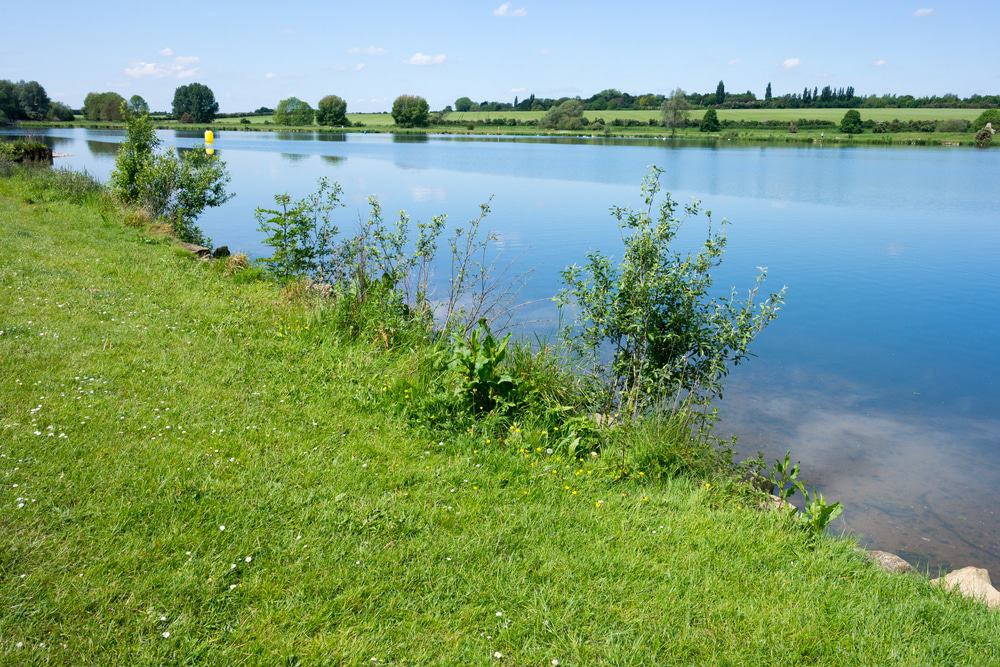 Nene Park