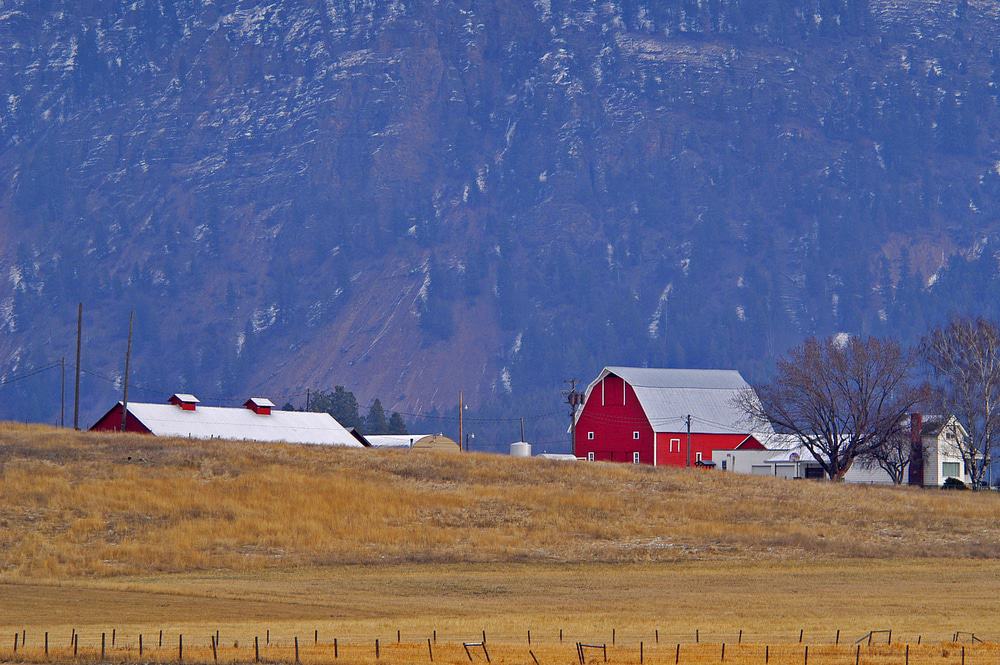 Columbia Falls, Montana