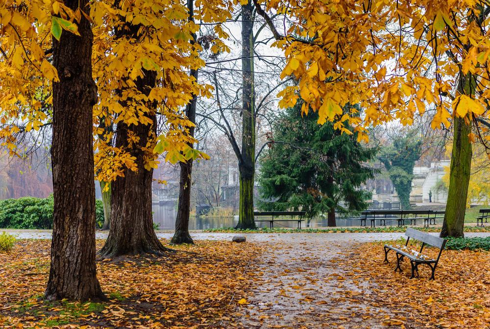 Łazienki Park, Warsaw