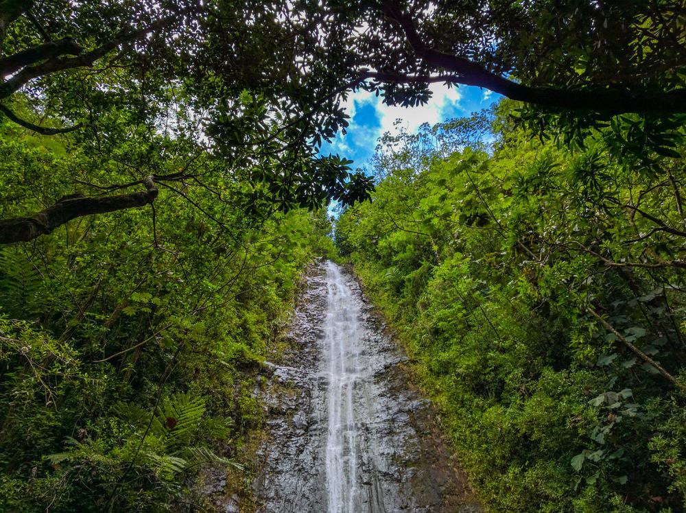 Manoa Falls, Oahu, Hawaii