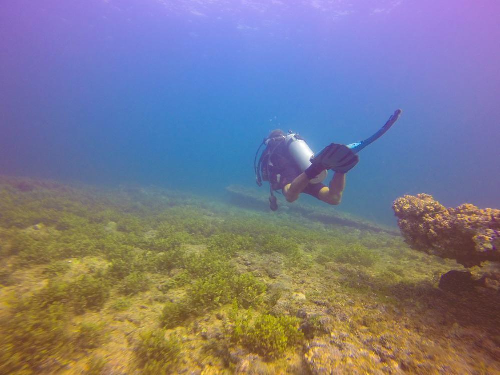 Diving