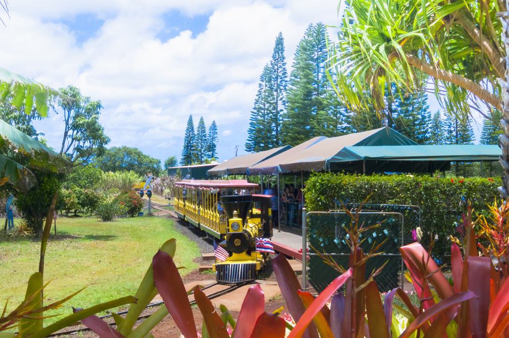 Dole Plantation