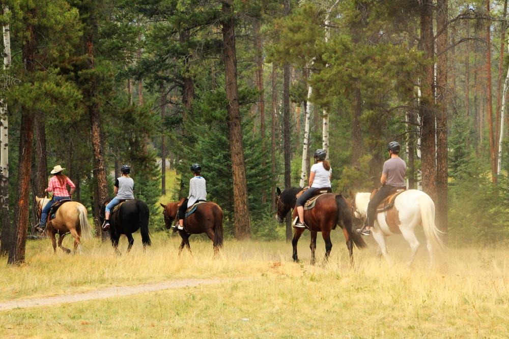 Horseback Riding Tour