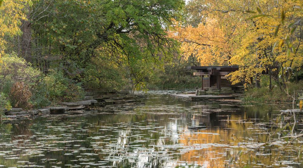 Alfred Caldwell Lily Pool