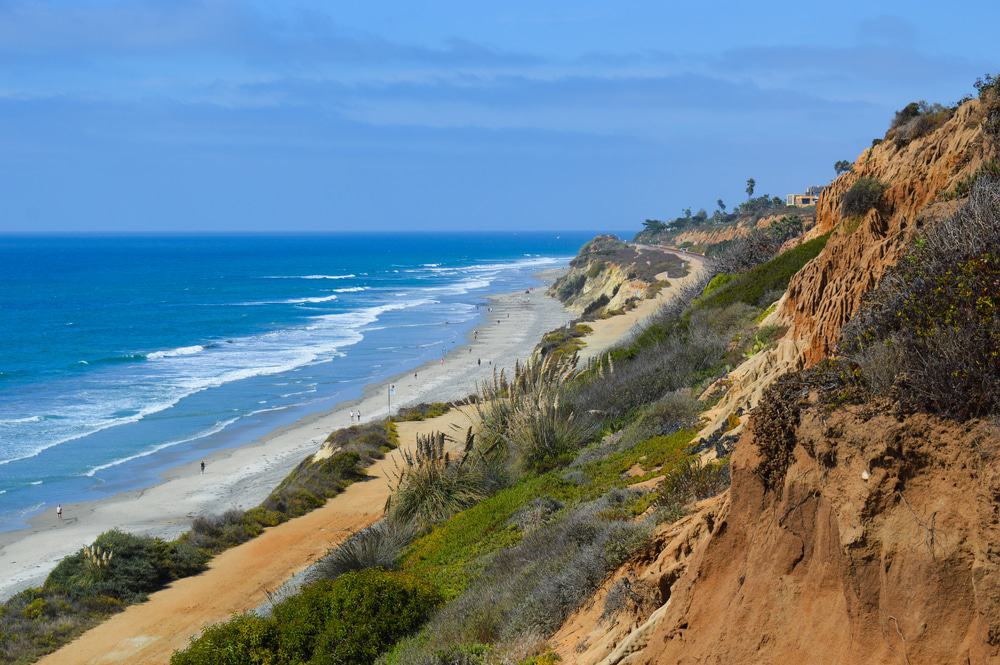 Torrey Pines State Natural Reserve