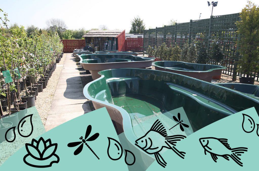 Paddock Farm Water Gardens