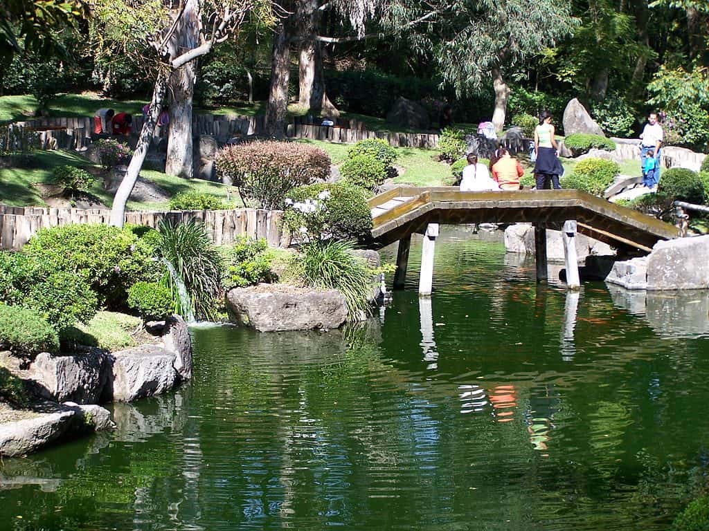 Bosque Colomos