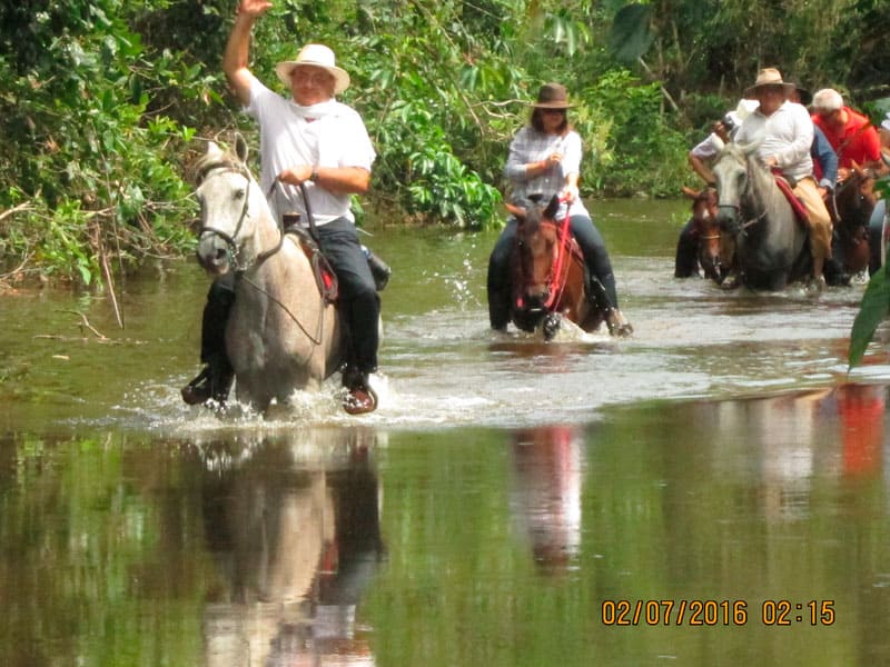 Campo Ecologico Gramalote