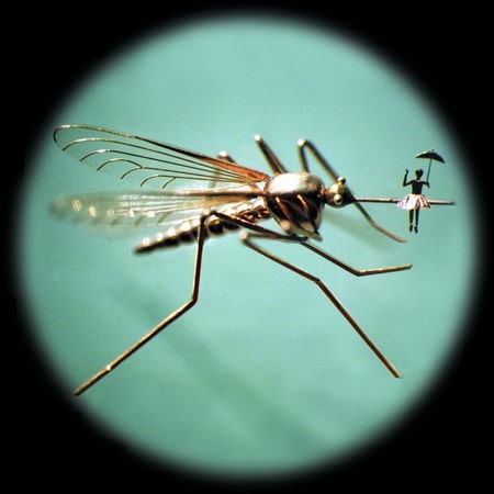 Mykola Syadristy Microminiature Museum