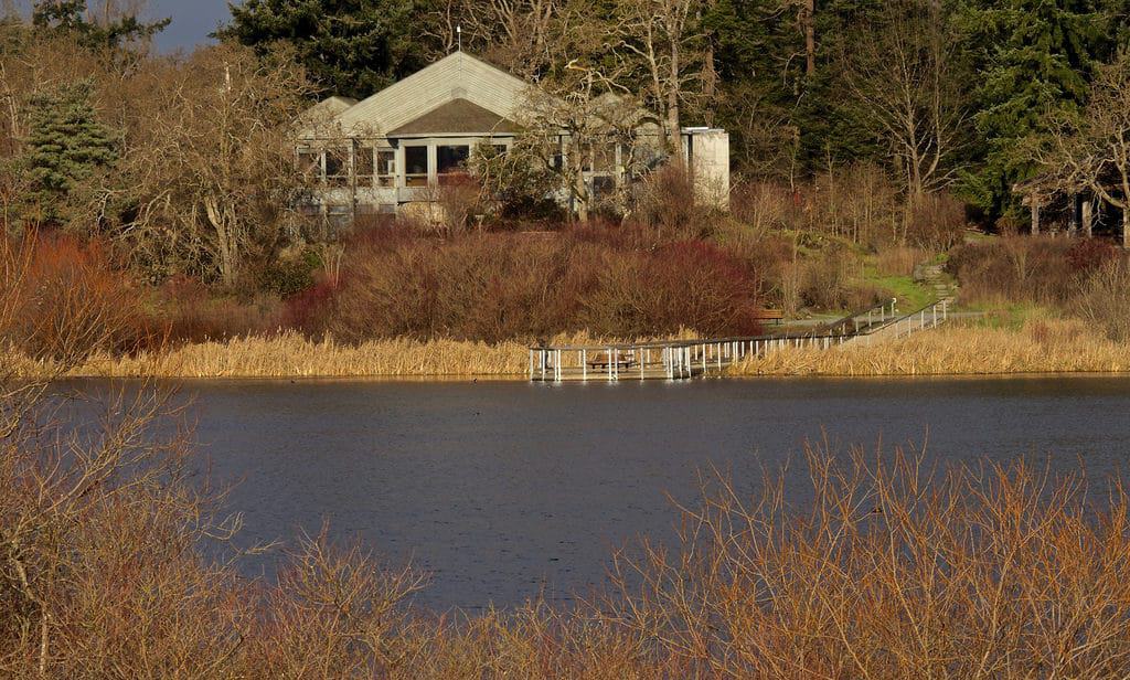 Swan Lake Christmas Hill Nature Sanctuary