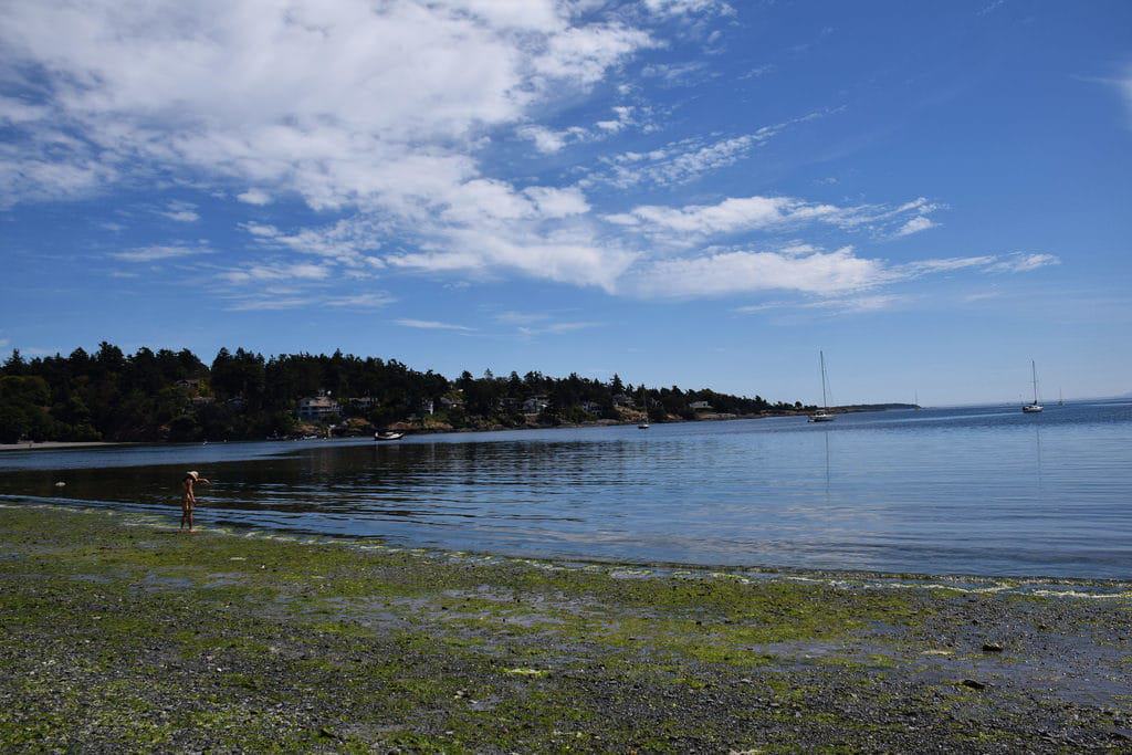 Cadboro Bay, Saanich