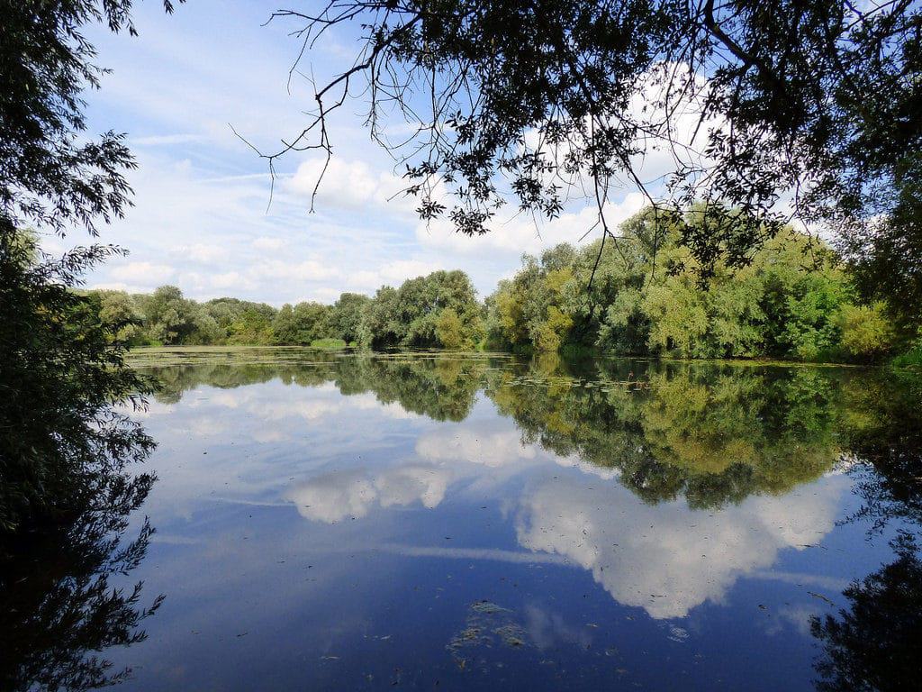 Priory Country Park