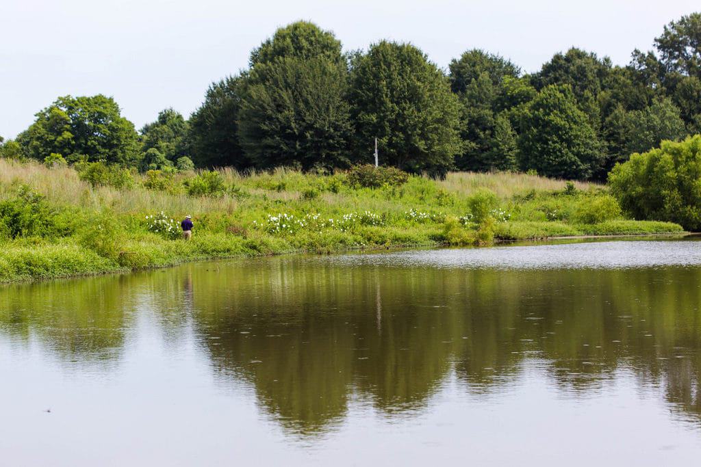 Hatchie National Wildlife Refuge, Tennessee