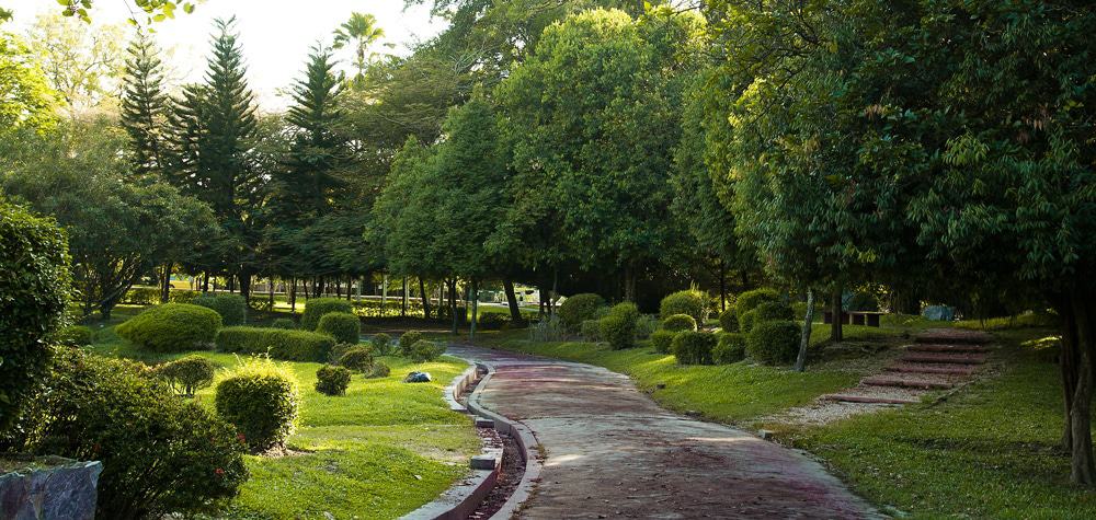 D.R. Seenivasagam Park