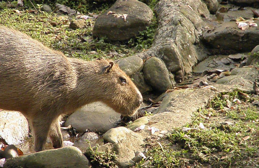 Bioparque Los Ocarros