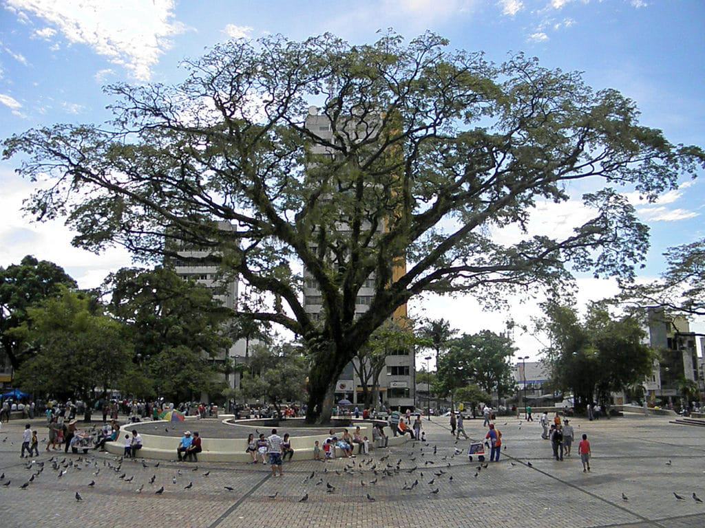 Plaza Los Libertadores, Villavicencio