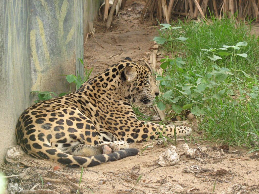 Zoológico Barranquilla
