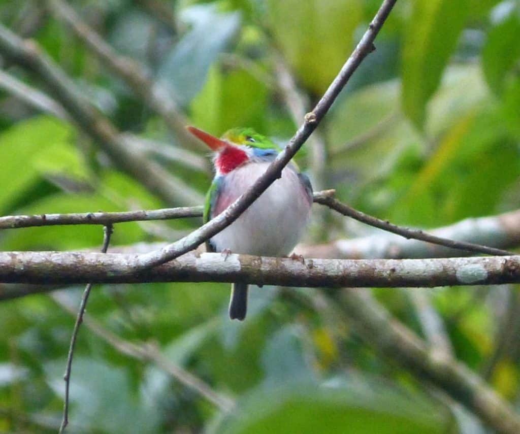 Parque Nacional la Guira