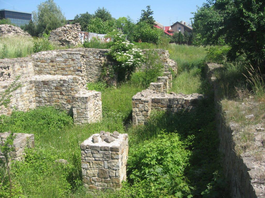 Curtea Domnească, Suceava