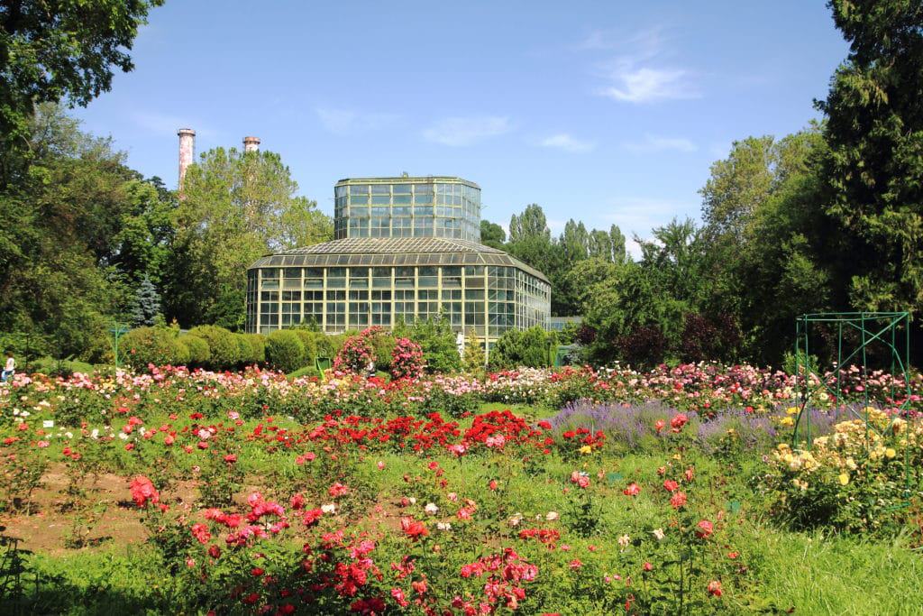 Botanical Garden, Bucharest