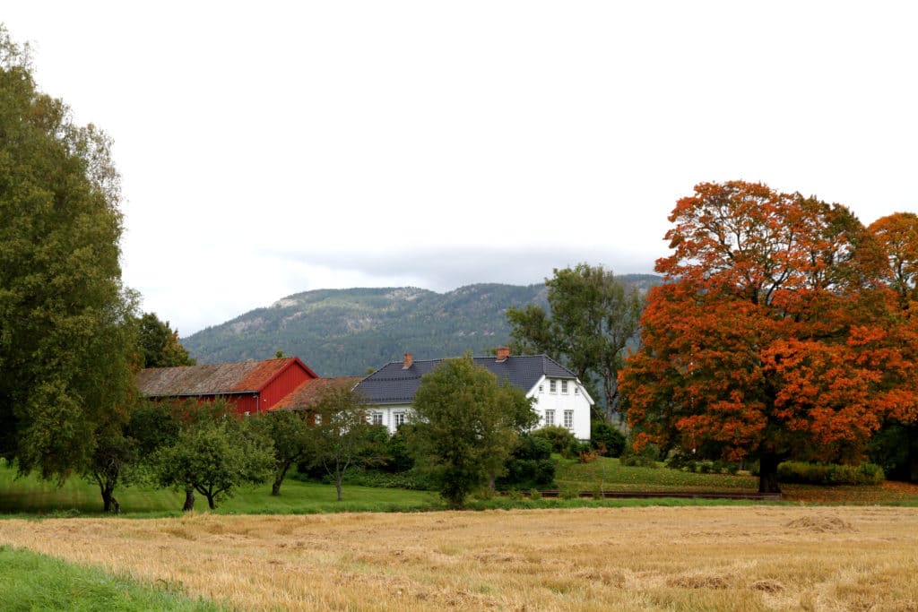 Henrik Ibsen Museum, Skien