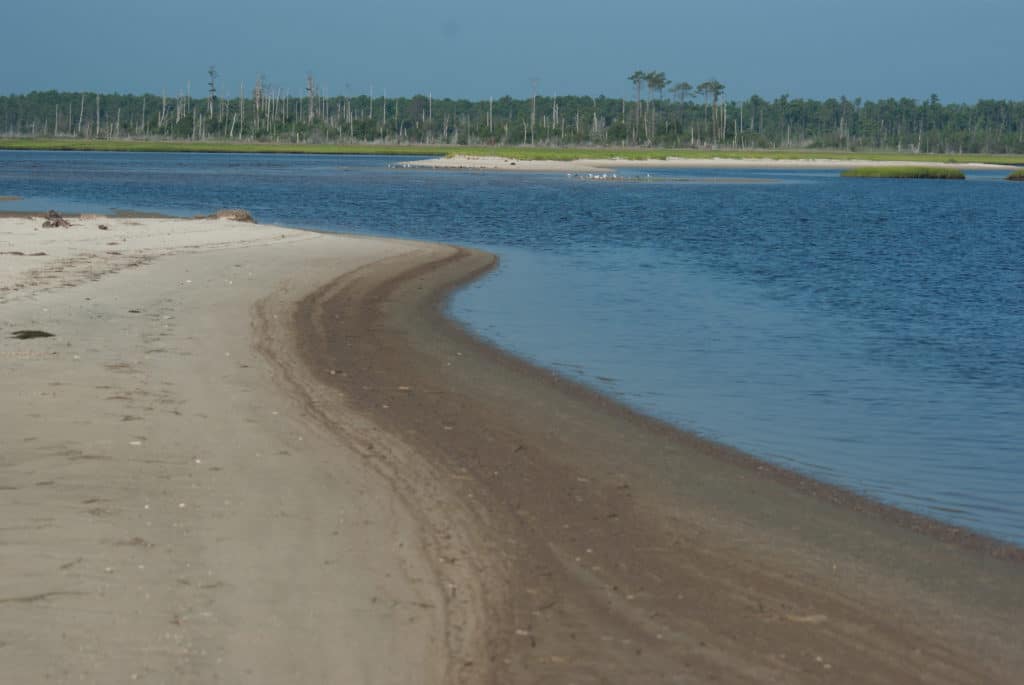 Bethel Beach, Virginia