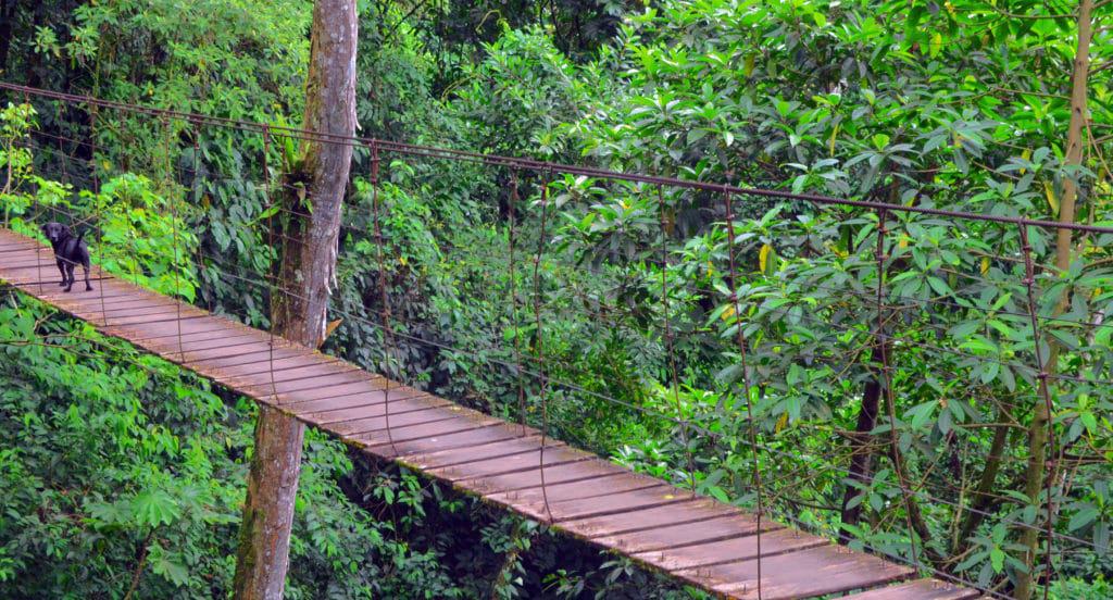 Vereda El Carmen, Villavicencio