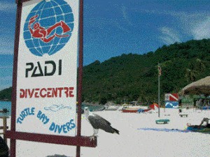 Turtle Bay Divers